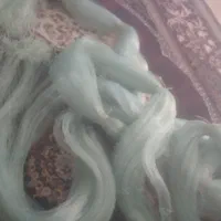 طورماهیگیری نو|ماهیگیری|تهران, آبشار تهران (دریاچه)|دیوار