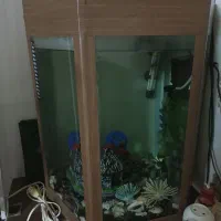 اکواریوم چند ضلعی حالت کلبه