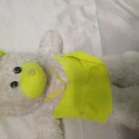 عروسکای پارچه ای