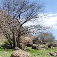 ۲۰۰ متر زمین دوره