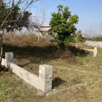 زمین 260 متری نزدیک دریا با اقساط 12 ماهه|فروش زمین و ملک کلنگی|رشت, گلسار|دیوار