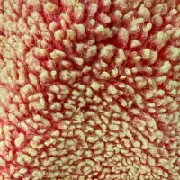 پالتو تدی فری سایز|لباس|تهران, سازمان آب|دیوار