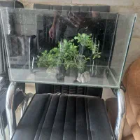 آکواریوم سالم بالوازم تکمیل  مفت مفت قیمت۱۵۰۰