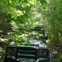 غول افرودی معاوضه ای