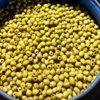 زیتون رودبار