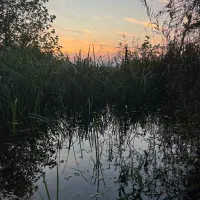 نیروی خدمات