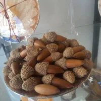 250-متر-زمین-مشاع-پلاک-138-فاز-2-صدرا-سند-تک-برگ