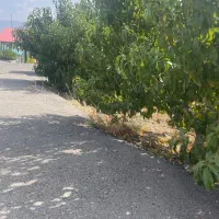 رزاننده لیفتراک
