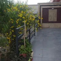 اجاره ویلا|اجارهٔ کوتاهمدت ویلا و باغ|محمدشهر, عباس آباد|دیوار