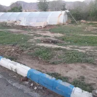 فروش زمین / باخرز / قلعه نو علیا|فروش زمین و ملک کلنگی|بالا ولایت, |دیوار