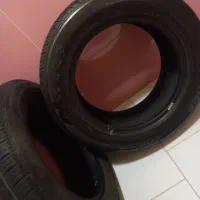 سهره نر|پرنده|رباط‌کریم, شهرک درخشان|دیوار