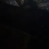 پراید یشمی مدل۸۲ کاربراتور|خودرو سواری و وانت|پارسآباد, |دیوار