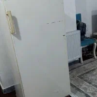 فریزر مارک برنا