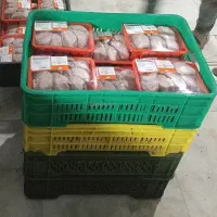 پخش گوشت بلدرچین تازه