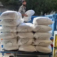 برنج ایرانی سرلاشه خوشپخت محصول فریدونکنار (10gk)|خوردنی و آشامیدنی|مشهد, گاز|دیوار