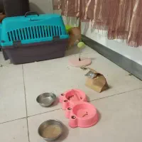 وسایل زندگی حیوون خانگی زیر قیمت