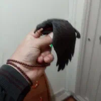 اویزقرقی. قدیمی