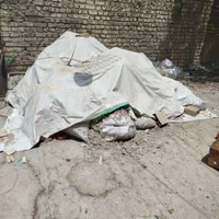 زل کبوتر|خدمات باغبانی و درختکاری|اصفهان, ارغوانیه|دیوار