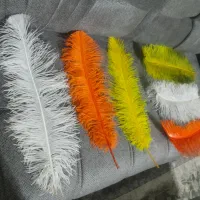 پر علامت|صنایع دستی و سایر لوازم تزئینی|تهران, هفده شهریور|دیوار