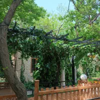 نیروی کار برای رستوران