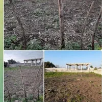 فروش ۴۵۲متر زمین مسکونی بره اسفالت|فروش زمین و ملک کلنگی|شاندرمن, |دیوار