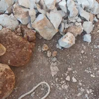 چاه کن|خدمات پیشه و مهارت|ایلام, |دیوار