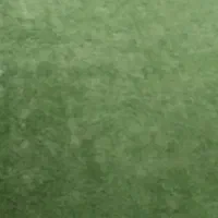 موکت وچمن