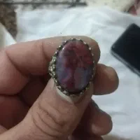 انگشترشجر دریایی