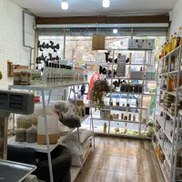 مغازه-بحر-اصلی-خیابان-قلم