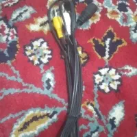 فیش سگا نوی نو