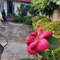 سوییت ساحلی ۱۸۰متری فوق کاسبی سندتک برگ