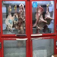 یخچال وفریزر ماهوت|یخچال و فریزر|تربتحیدریه, قائم|دیوار