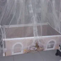 گهواره نوزاد