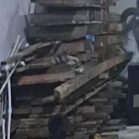 چوب نراد سالم در حد نو