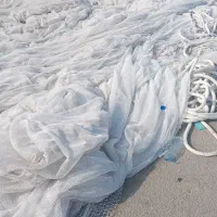 طور ماهی محاصره ای نوو نو|ماهیگیری|قشم, |دیوار