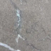 سیم کارت رایتل رند 48-49-300-0921