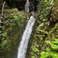 تور لحظه آخری شمال
