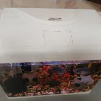 آکواریوم بهمراه ماهی و تمامی امکانات لازم|ماهی|فیروزکوه, |دیوار