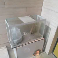 اکواریوم|ماهی|آبیک, |دیوار