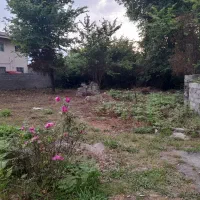 زمین رامسر بلوار معلم گلستان