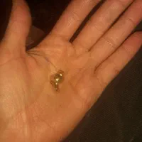 نمیدونم چقدر قیمتشه|جواهرات|اصفهان, فیض|دیوار