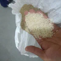 برنج فجر محلی عطری