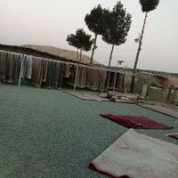 قالیشویی لطفی