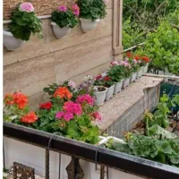 اجاره ویلای جنگلی در پاوه روستای  گردشگری خانقاه