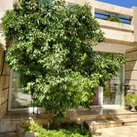 ۲۴۰ متر ۳ خواب + ۲۰۰ متر حیاط اختصاصی خ آذر