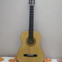 گیتار یبو حرفه ای