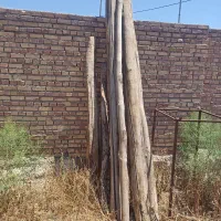 چوب سقفی