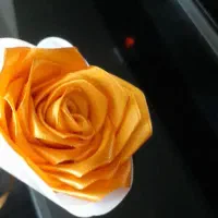 گل روبانی|گل مصنوعی|کرمانشاه, |دیوار