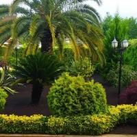 باغبانی ،اجرای فضای سبز،کلاراباد،نمک ابرود|خدمات باغبانی و درختکاری|کلارآباد, |دیوار