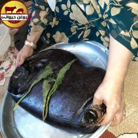 روغن حیوانی و محلی اصل روستاهای اورامان کردستان|حراج|تهران, تجریش|دیوار